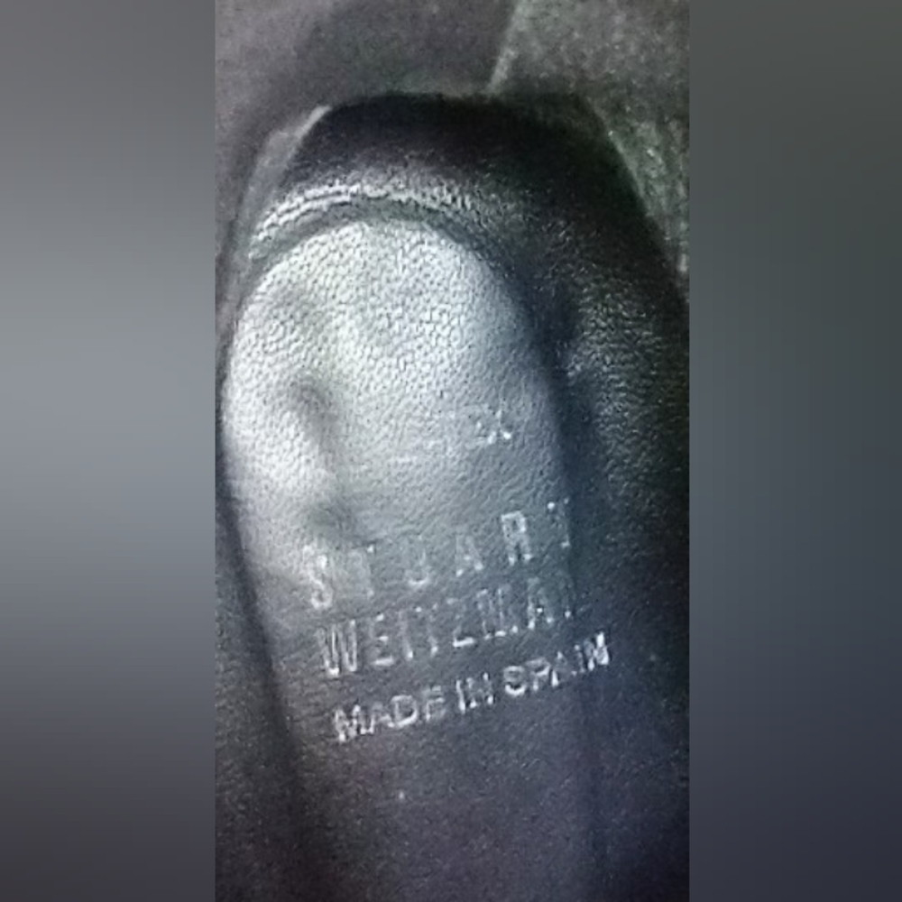 Stuart Weitzman Gortex Harness Booties - image 3